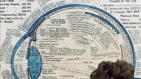 our eyes are perfectly made