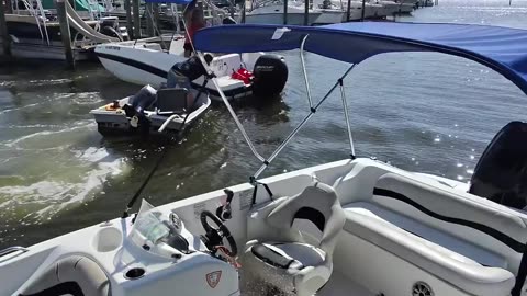Marina Salvation Altercation