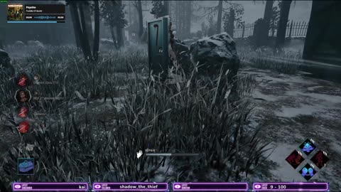 Playing DBD
