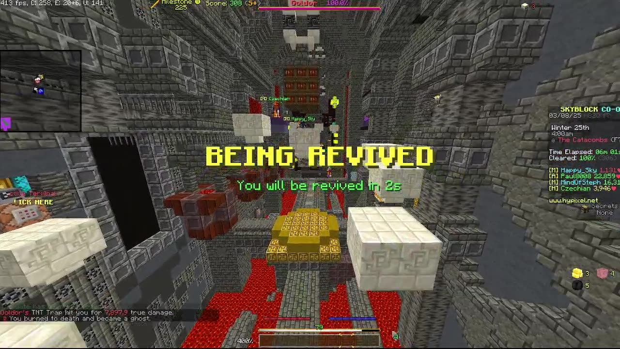 Skyblock FLOOR 7 [#1985]