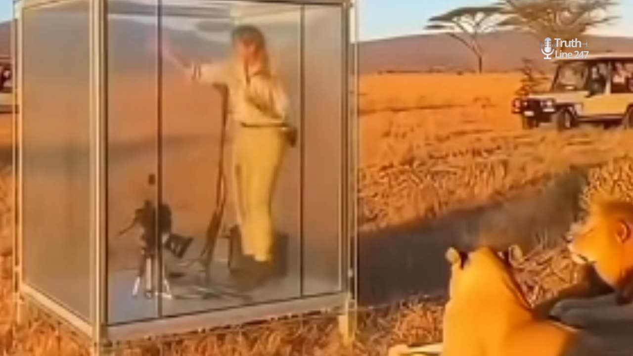 A Scene Not in the Script | One Mistake Ended the Filming