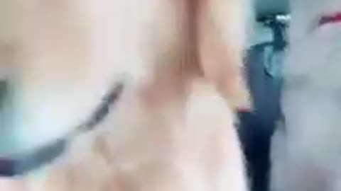 #funny dog videos🐶🐶😹😹