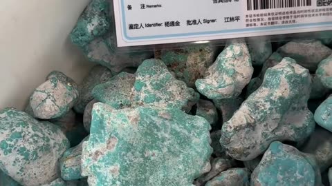 20250731-4 Natural Original Turquoise Rough Nurture Green Soul
