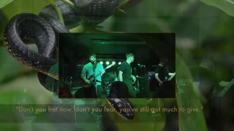 W. A. T. G. ~ The Bird and the Snake { Live + Lyrics + Covers } Remix 1