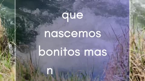 Cursos online certificados
