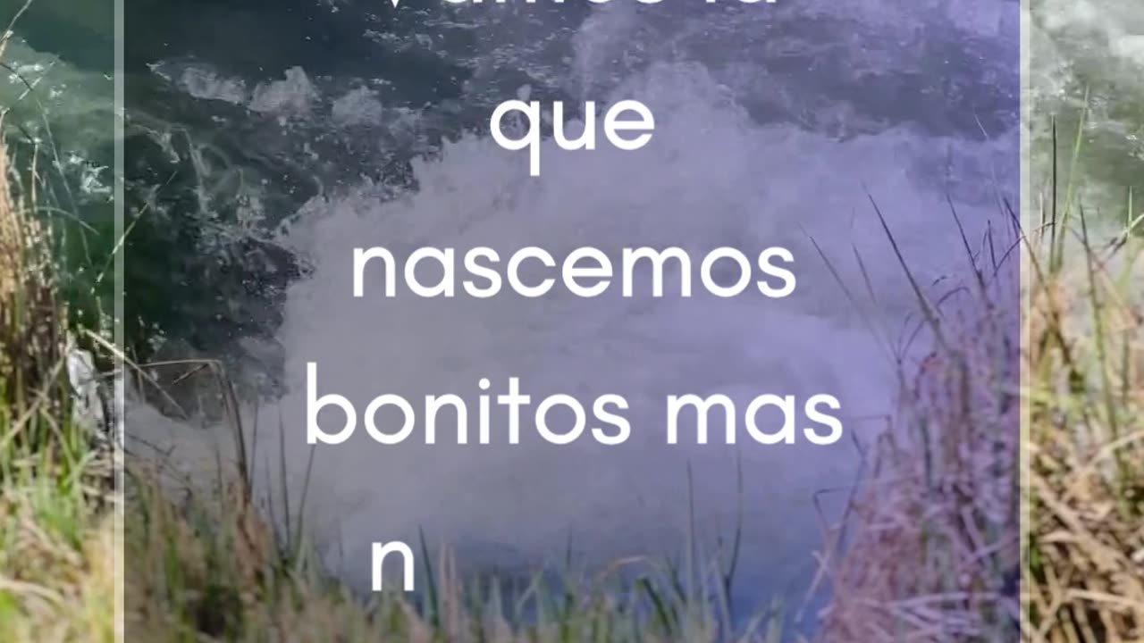 Cursos online certificados