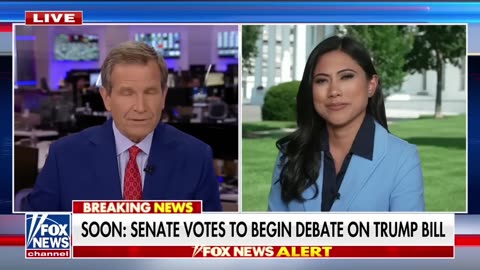 What plans do Democrats have for the "big, beautiful bill"?