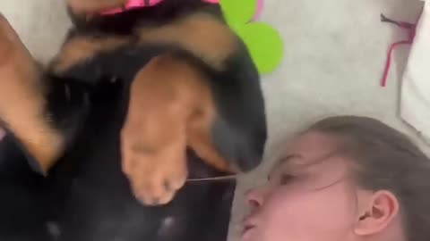 Dog owners and lovers chemistry #funny #viral #shorts