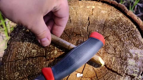 Carve a Whistle from a Stick