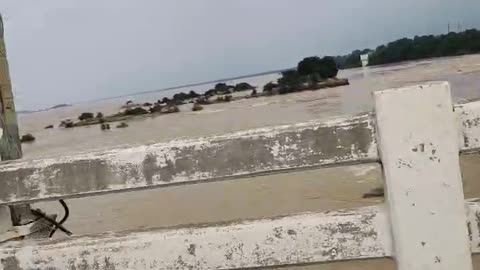 Mahanadi flood