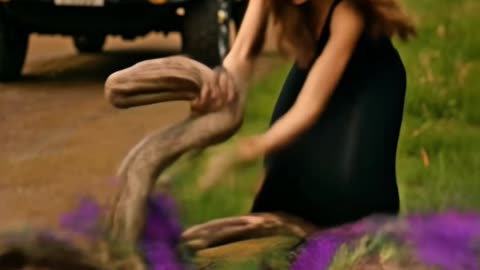 Peacock Trapped by Snake Until She Stepped In…