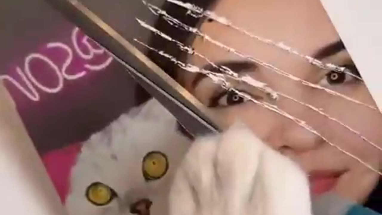 This Cat's Reaction to Controlling its Human is PRICELESS! 😹