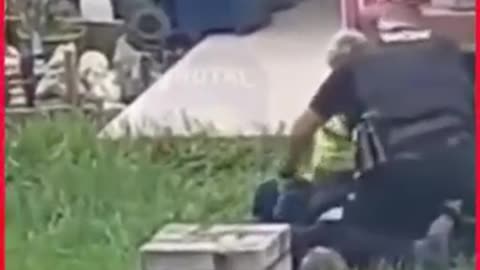 POLICE ARE DOMESTIC TERRORISTS