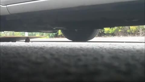 Candid Snail Crush Under Board