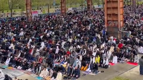 Europe doesn't seem like Europe anymore.