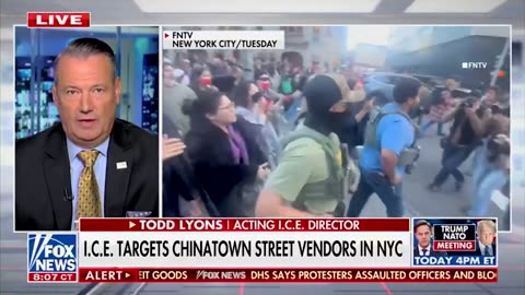 Libs of TikTok - JUST IN: The 9 illegal alien street vendors arrested in NYC yesterday...