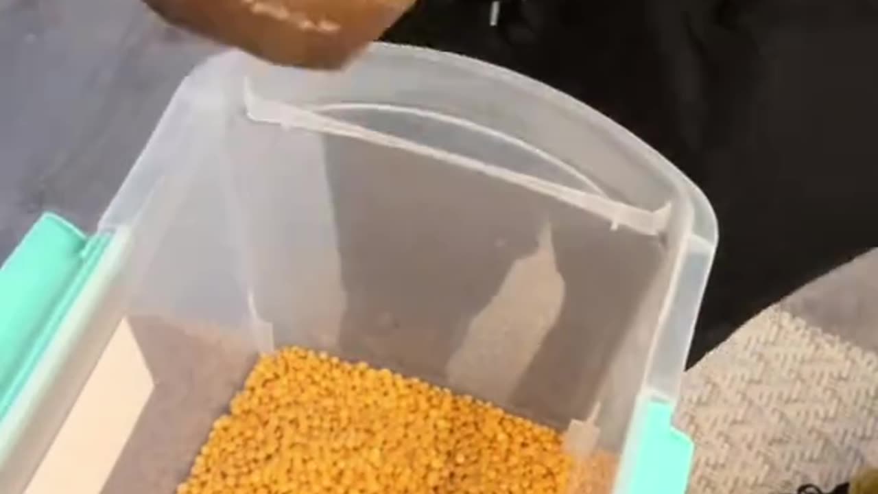 💛 Restocking for a Busy Month with Golden Allure | Sexy Smooth Wax Prep 💫