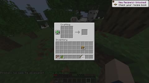 We Finally Started Our OWN Minecraft Server 🌍 (Chaos Ensues!)