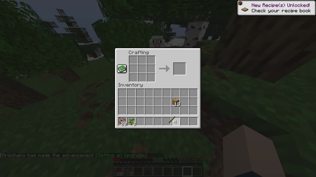We Finally Started Our OWN Minecraft Server 🌍 (Chaos Ensues!)