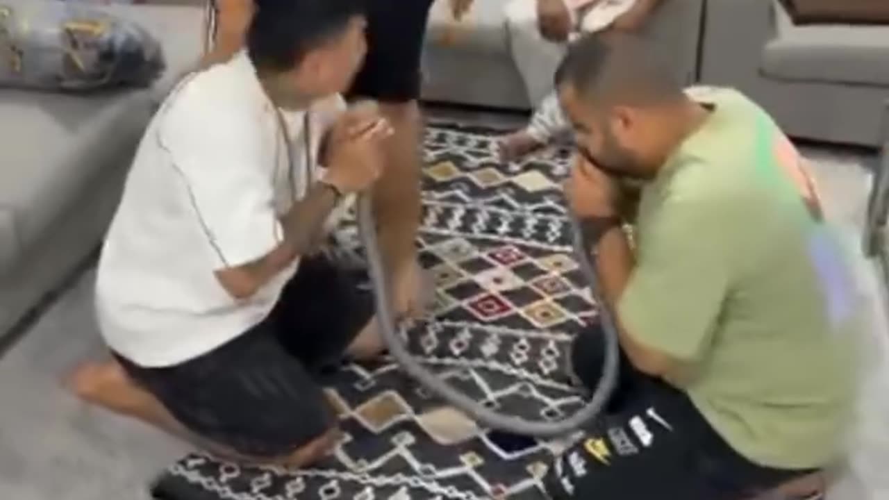 Funny prank clips