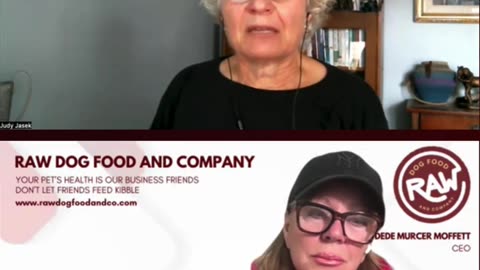 The Cost of Raw Diets vs Kibble