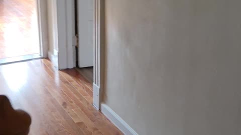 Hmm…(Oct 11, 2025 14:53:38)