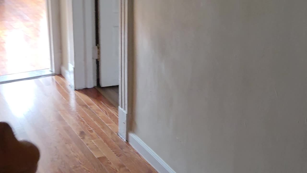 Hmm…(Oct 11, 2025 14:53:38)