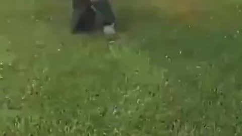 Police shooting
