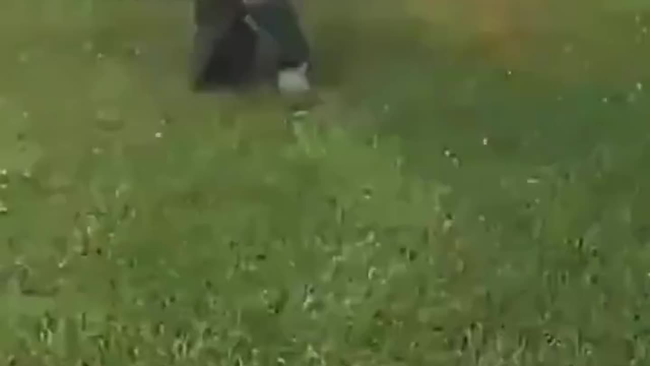 Police shooting
