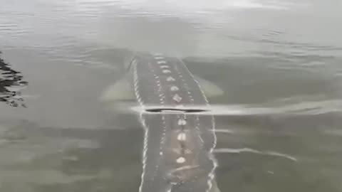 Epic Non-Fails Compilation 🔥 Top Videos You Have to See to Believe 💯