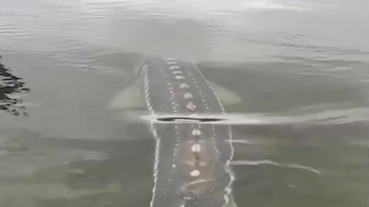 Epic Non-Fails Compilation 🔥 Top Videos You Have to See to Believe 💯