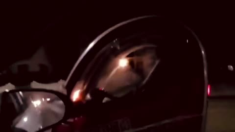 Child Predator Tries to Escape in Bizarre Way After Being Caught