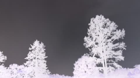Negative lightning