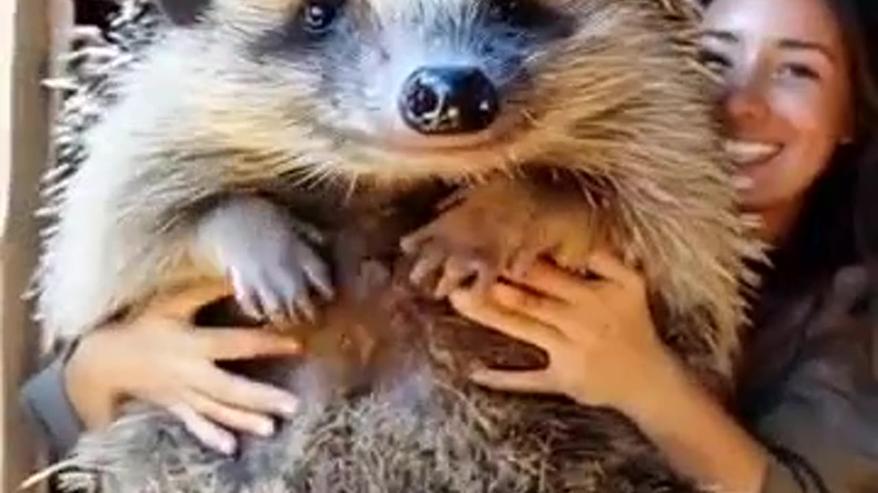 Breathtaking & Unique: The Charm of Exotic Pets You’ve Never Seen Before!