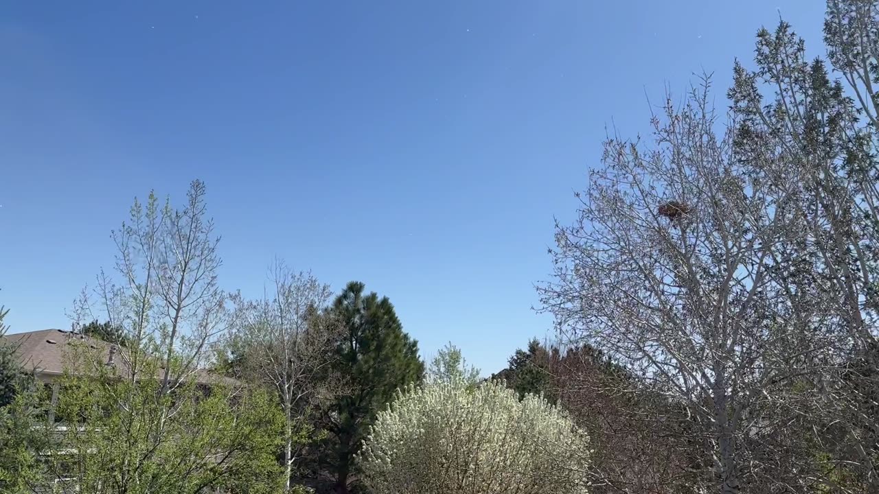 What a beautiful day outside