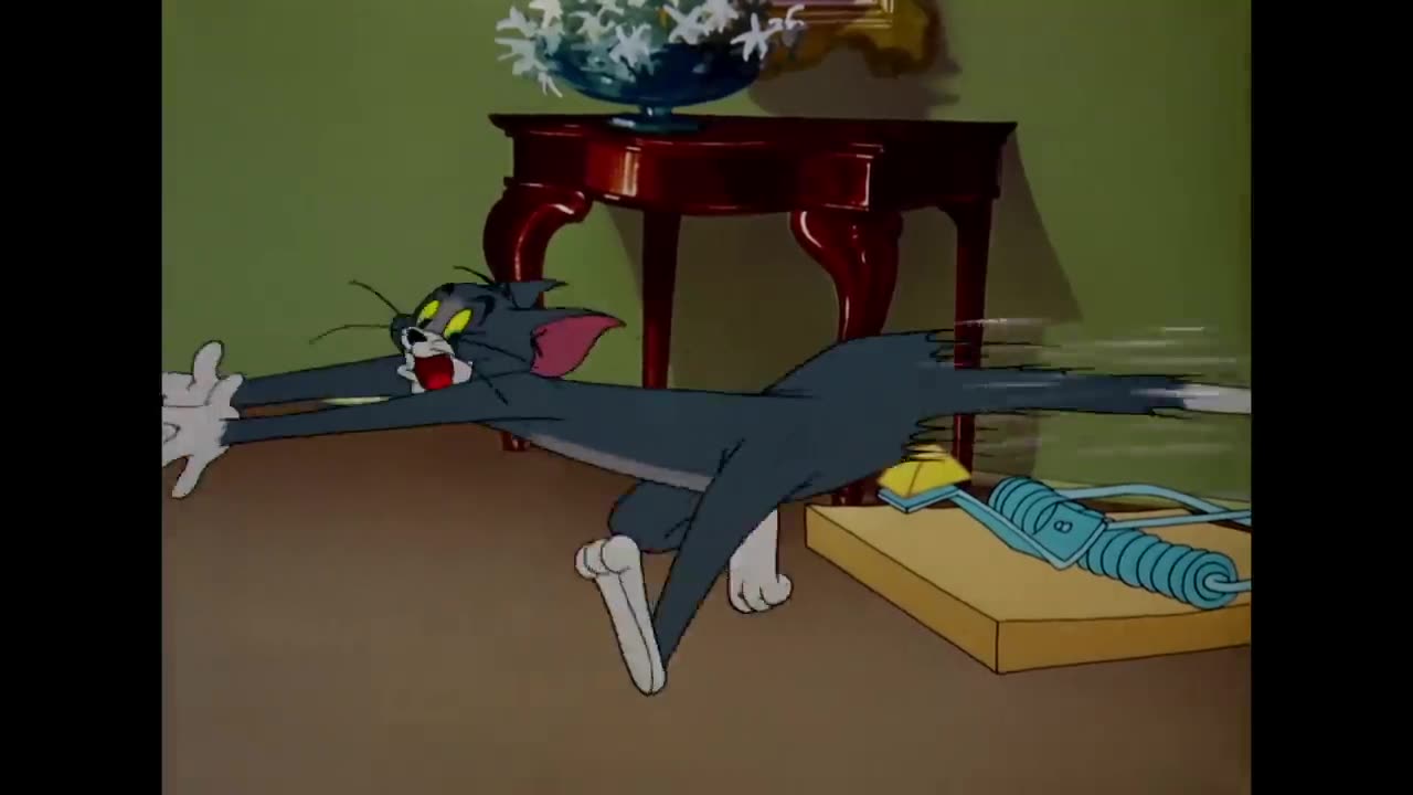 🐭💨🐱 Tom & Jerry