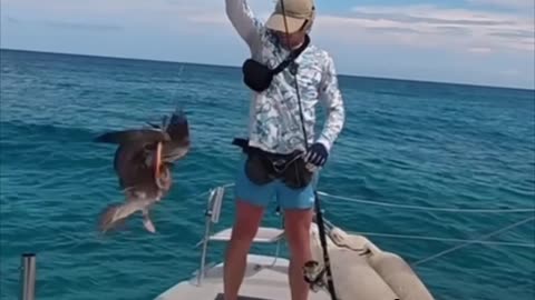 Captura inesperada durante sesión de pesca