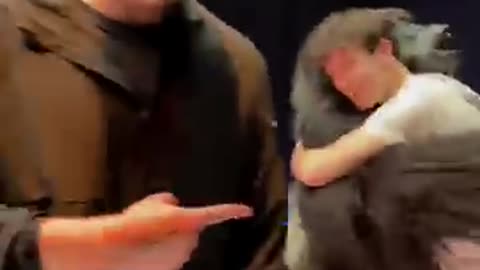 Mr BEast Fake Bear Challenge