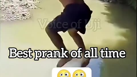 TRUST