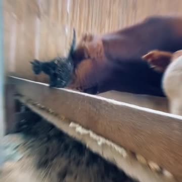 I'm waiting for Edith from You!