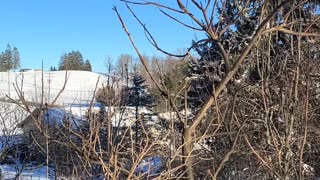 07Feb26 : #OuttheWindowWeather