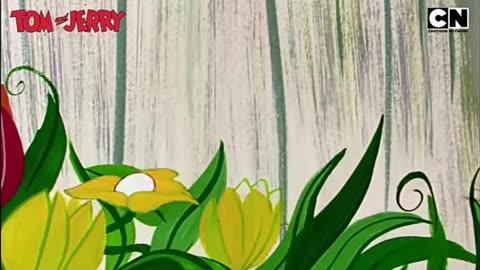 Tom And Jerry