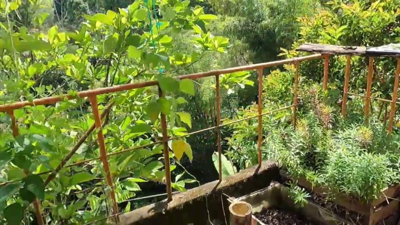 Leaving My Finca | Organizing + Cleaning for Vacation | A Slow Life in The Colombian Countryside