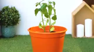 Try these garden hacks and be surprised by the results…