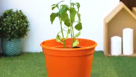 Try these garden hacks and be surprised by the results…