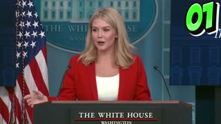 Karoline Leavitt Exposed Media's Lies