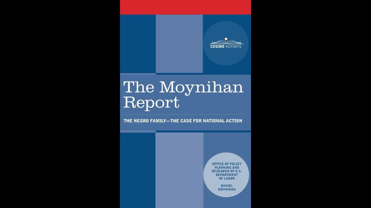 The Moynihan Report. Chapter 4 part 2. (I posted yesterday but had it under Chapter 4 part 1)