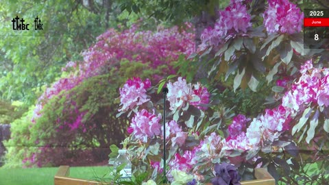 8 June 2025 Sunday Evening Service