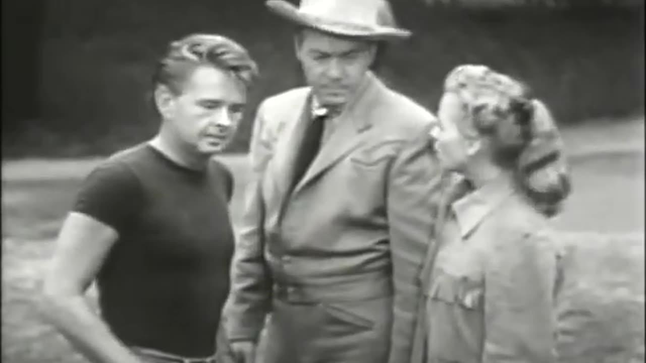 Sky King - Bullet Bait