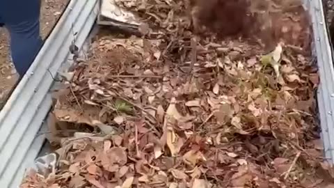 Filling an elevated garden bed before planting